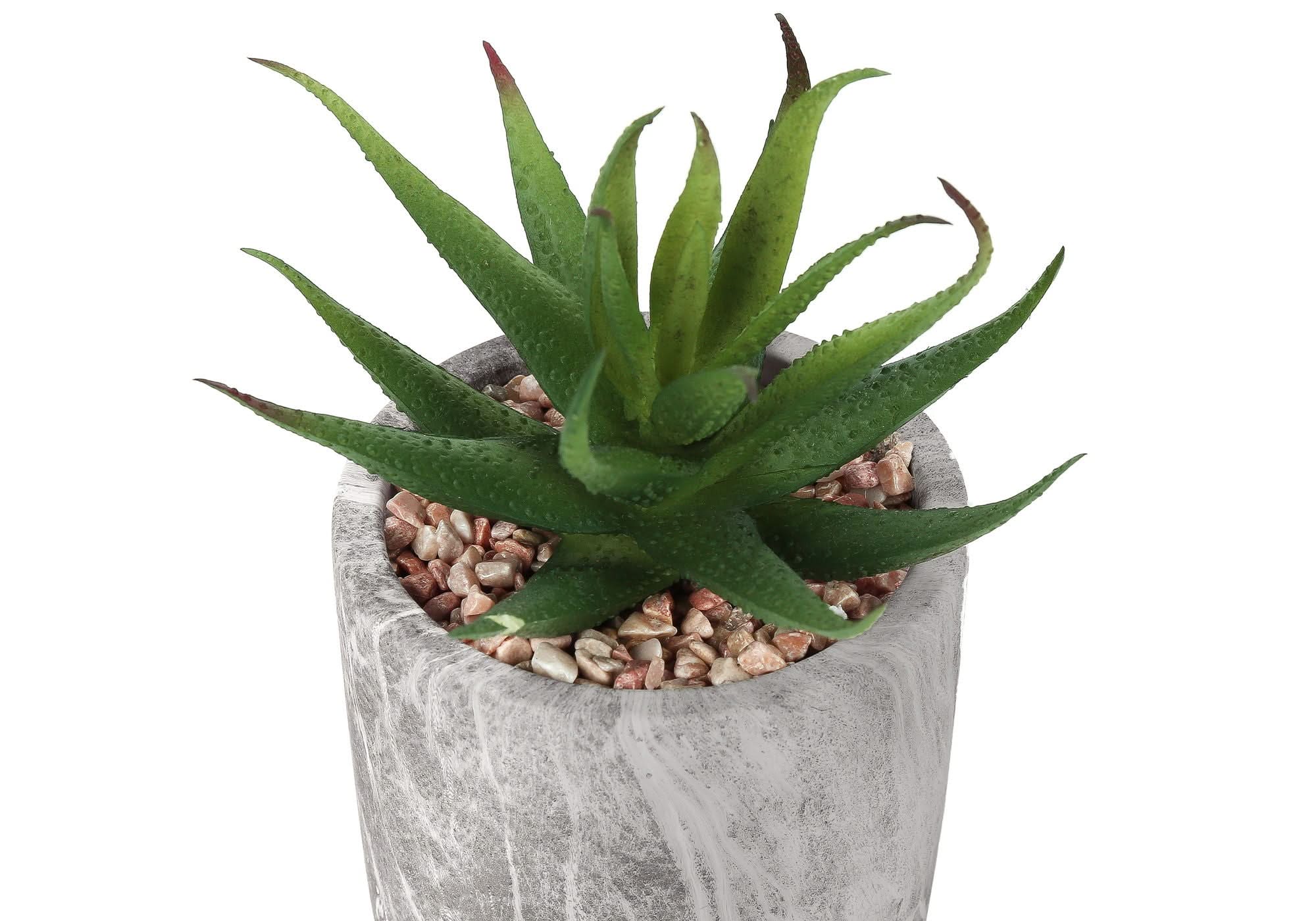 6" Tall, Artificial Plant, Succulent, Indoor, Faux, Fake, Table, Greenery, Potted, Decorative (Set of 2) - Green / Gray - Image 3