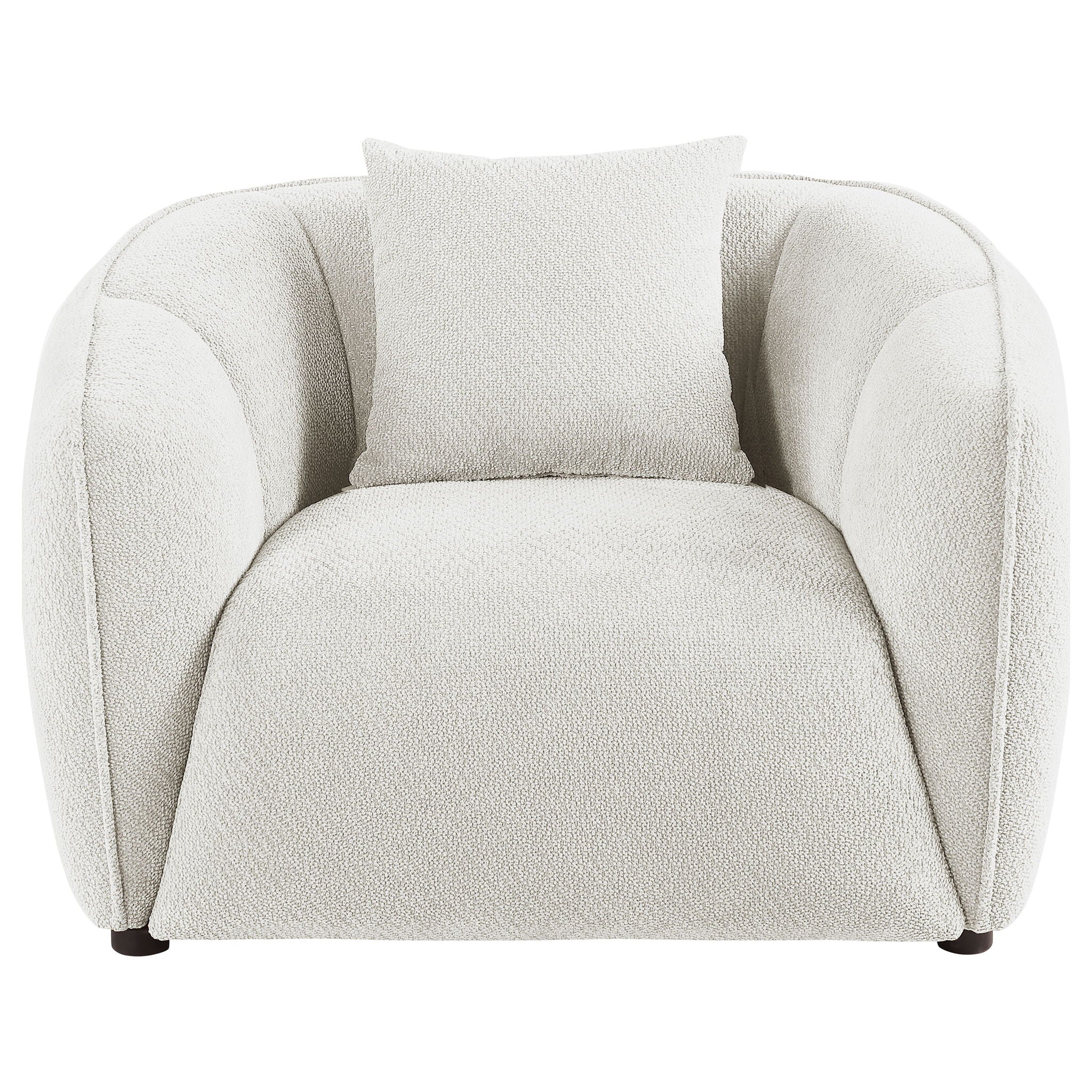 Aleisha Chenille Upholstered Accent Chair Ivory - Image 4