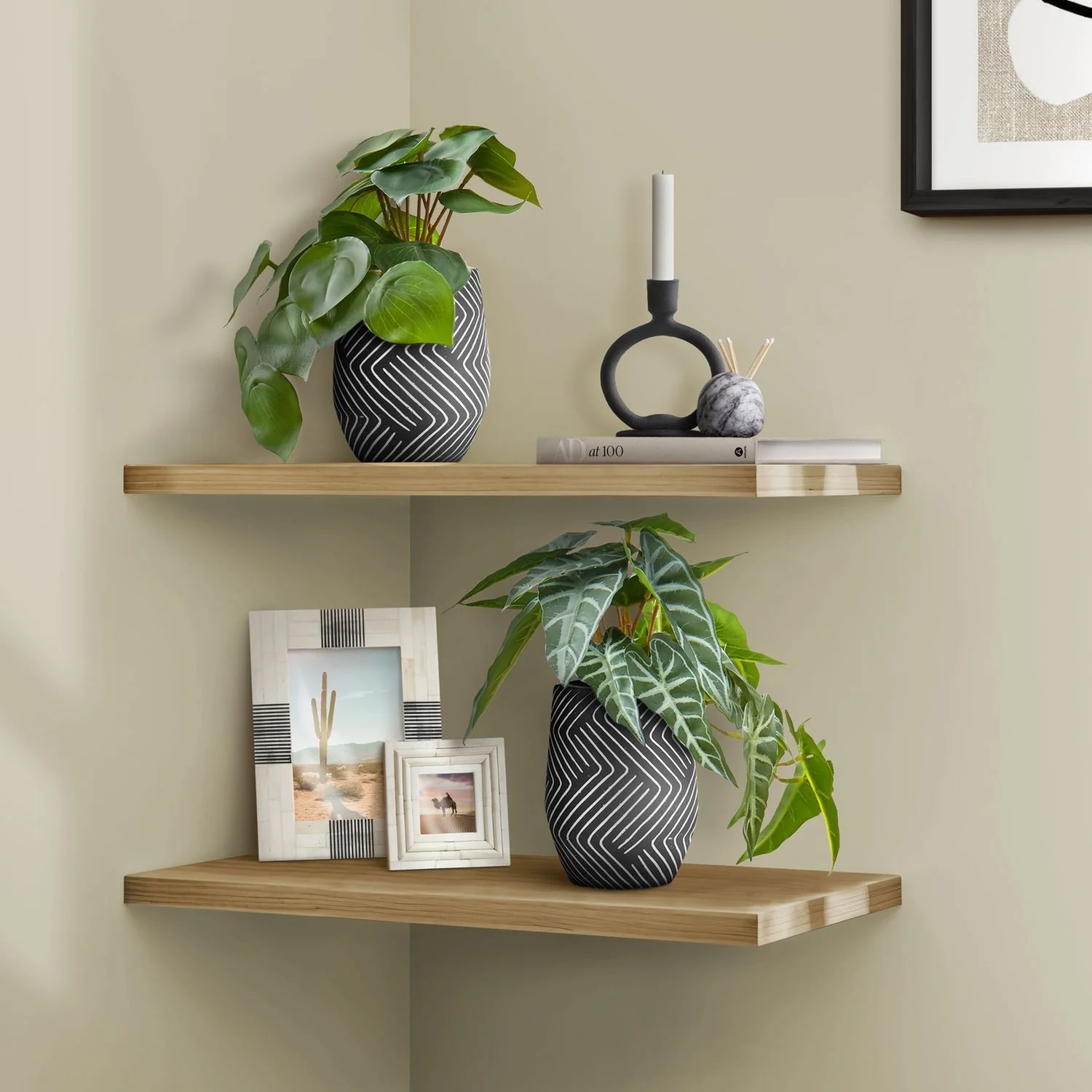 Artificial Alocasia Plant (Set of 2) - Image 8