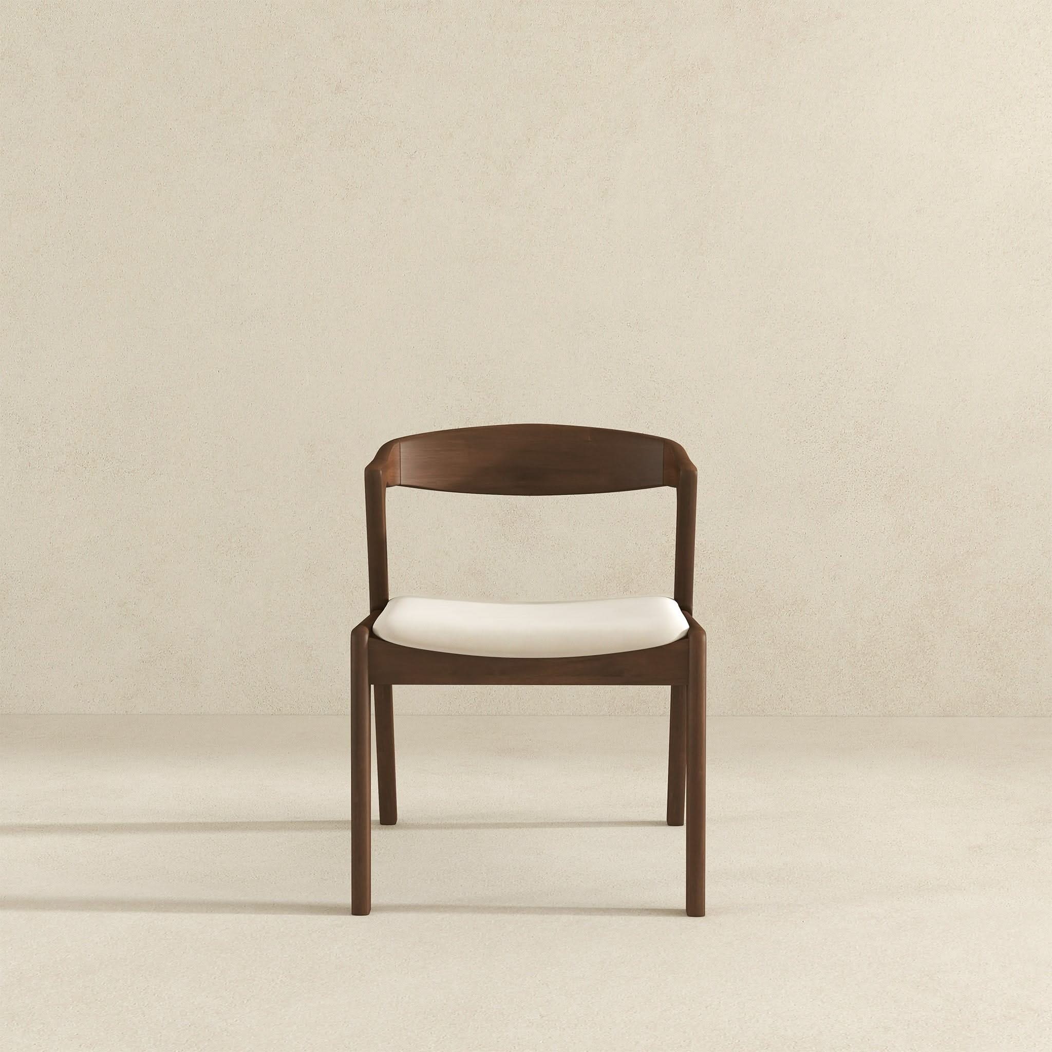 Dakota - Mid-Century Modern Dining Chair (Set of 2) - Image 12
