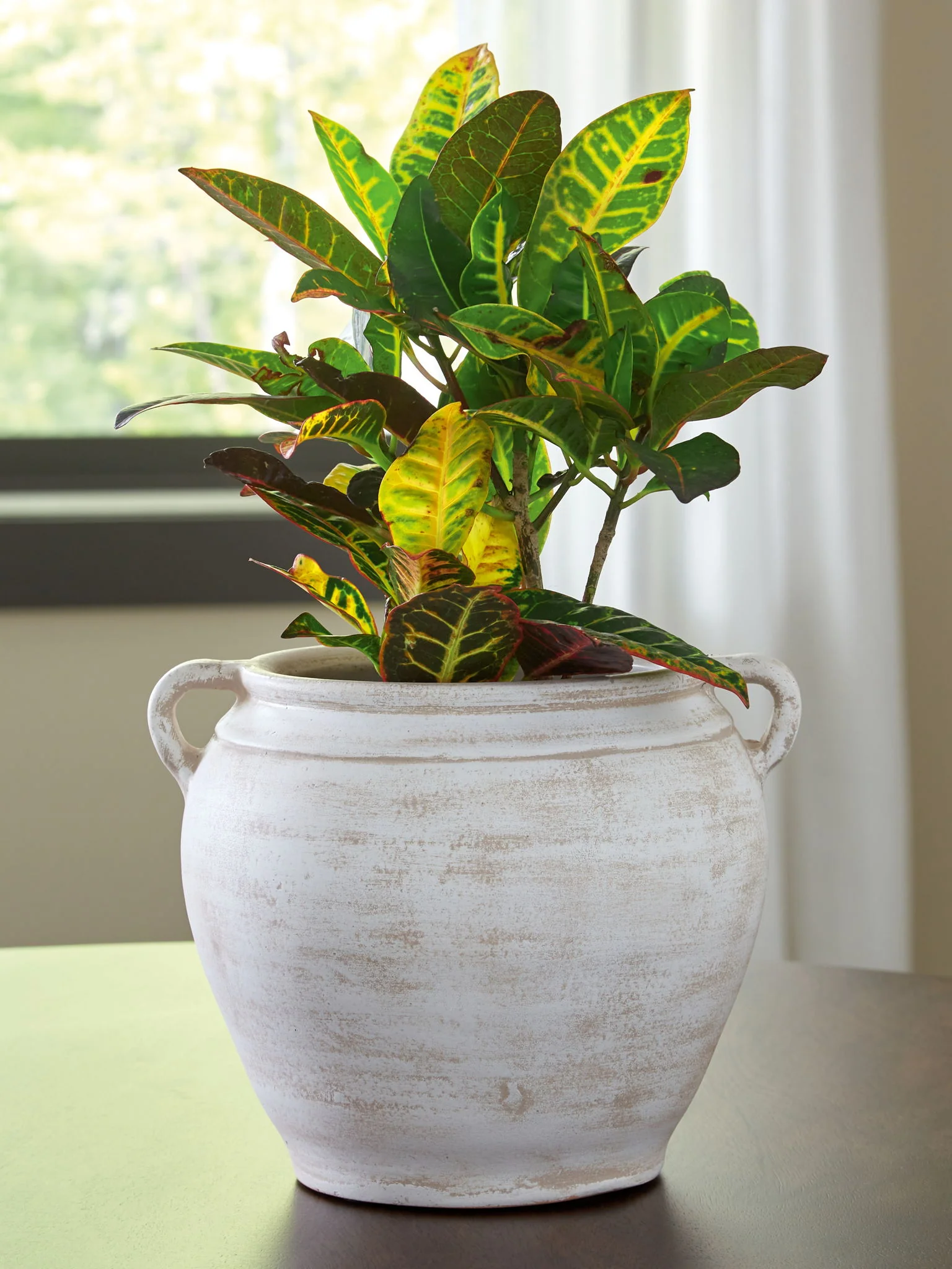 Meadie - 9" Vase - Image 6